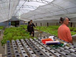 03° Encontro de Hidroponia